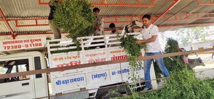 गौसेवा कर मनाया सहकारिता मंत्री आँजना का जन्मदिवस