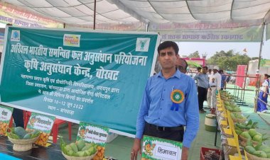 मेंगो फेस्टिवल में आम की 50 उन्नत किस्मों का प्रदर्शन