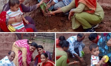 राजकीय उच्च प्राथमिक विद्यालय आखलियों की ढाणीया चावण्डा में लगाये गये फूलदार छायादार पौधे