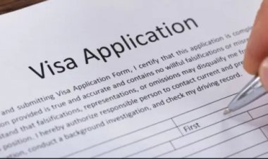 कतर वीजा के लिए आपके आवेदन की प्रक्रिया में 'मेडिकल रेफरल' का मतलब ये है...