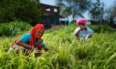 हिंदुस्तान जिंक प्रतिष्ठित एसएंडपी ग्लोबल प्लैट्स मेटल अवार्ड 2022 से सम्मानित