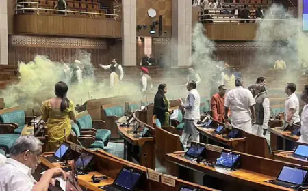 संसद पर हमले की 22वीं बरसी पर सुरक्षा में बड़ी चूक, लोकसभा में घुसे दो लोग