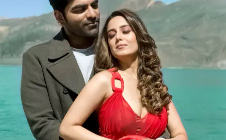 शाहरुख खान के गीत 'गेरुआ' की याद दिलाता है शौर्य मेहता और सृष्टि रोड़े का म्यूजिक वीडियो 'दिल ये दिलबरो'