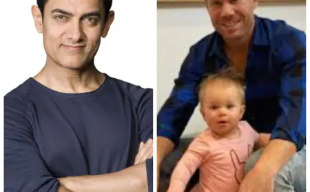 आमिर खान स्टारर 'तारे ज़मीन पर' का गाना एंजॉय करती दिखी डेविड वॉर्नर की बेटी, क्रिकेटर ने शेयर किया वीडियो