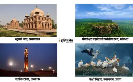 स्थानीय न्यूज़ पोर्टल्स के माध्यम से भारत के पर्यटन स्थलों को मिल रही वैश्विक पहचान